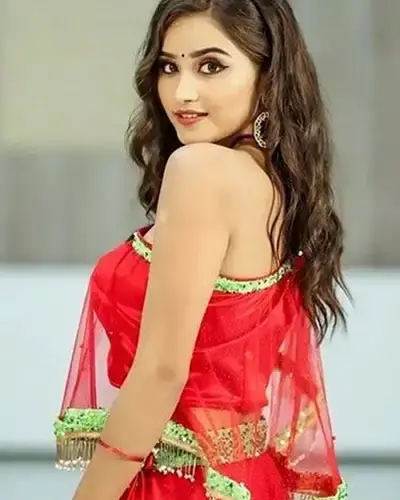 Escort In Chittorgarh